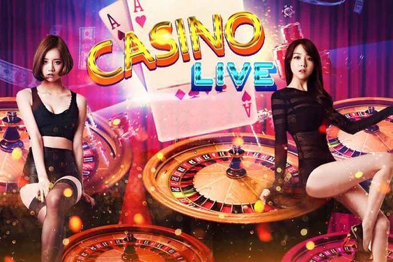 Wildz Casino پاکستان ریئل منی گیمز